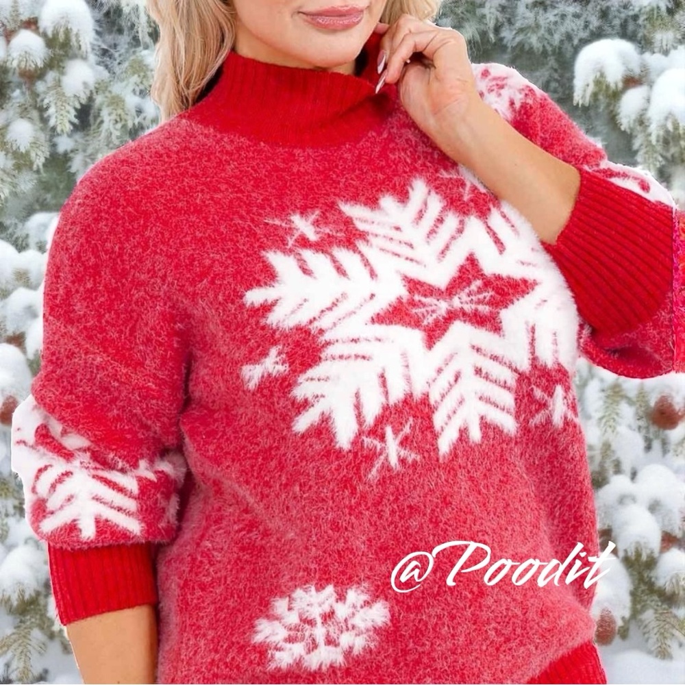 AND THE WHY holiday snowflake sweater 1X/2X, 2X/3X Combo size - Picture 6 of 14